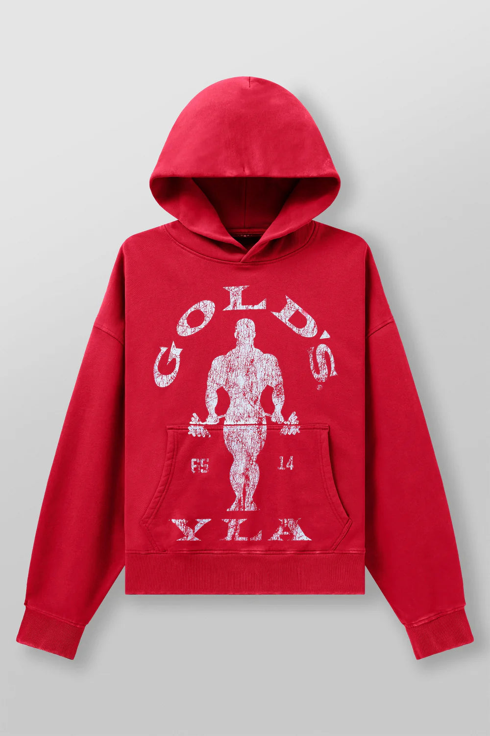 Sudadera youngla hombre Golds gym