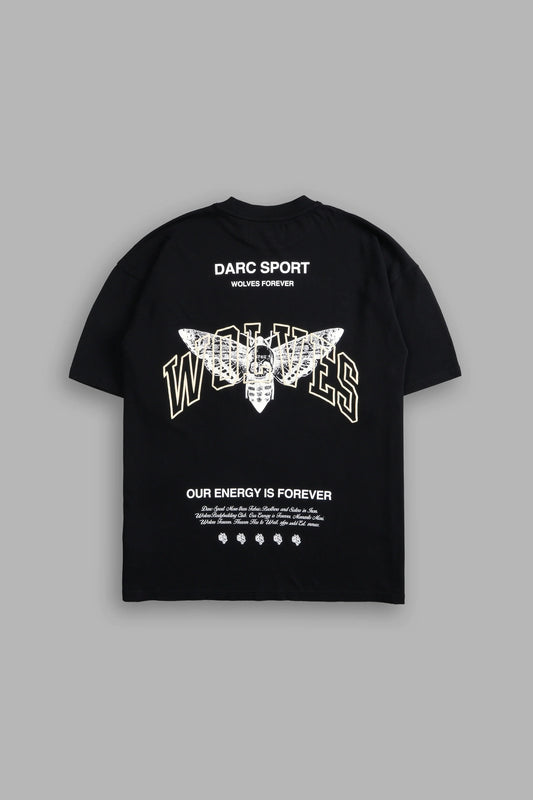 Camisa darc sport Hombre